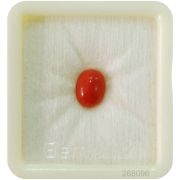 Natural Japanese  Stone Natural ( lal moonga ) Oval Cut Munga Gemstone 2.25 Ct to 15 Ct