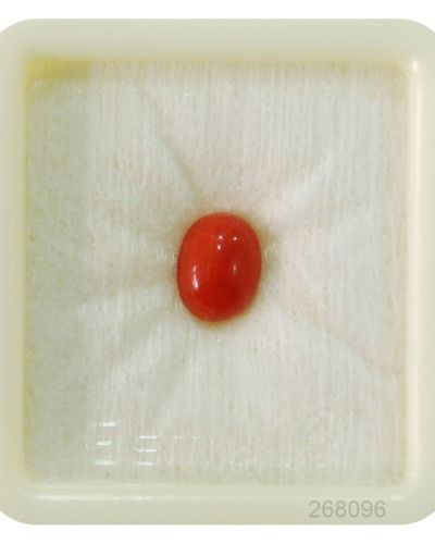 Natural Japanese  Stone Natural ( lal moonga ) Oval Cut Munga Gemstone 2.25 Ct to 15 Ct