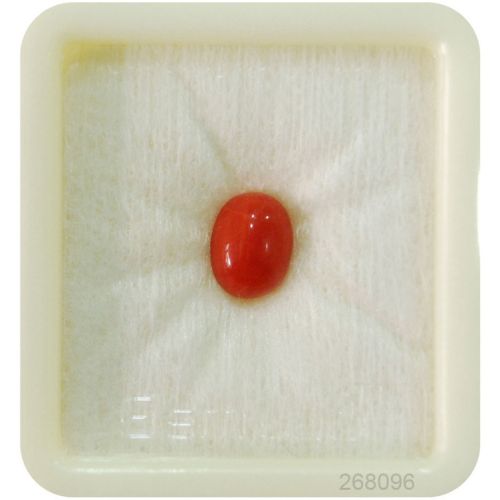 Natural Japanese Stone Natural ( lal moonga ) Oval Cut Munga Gemstone 2.25 Ct to 15 Ct